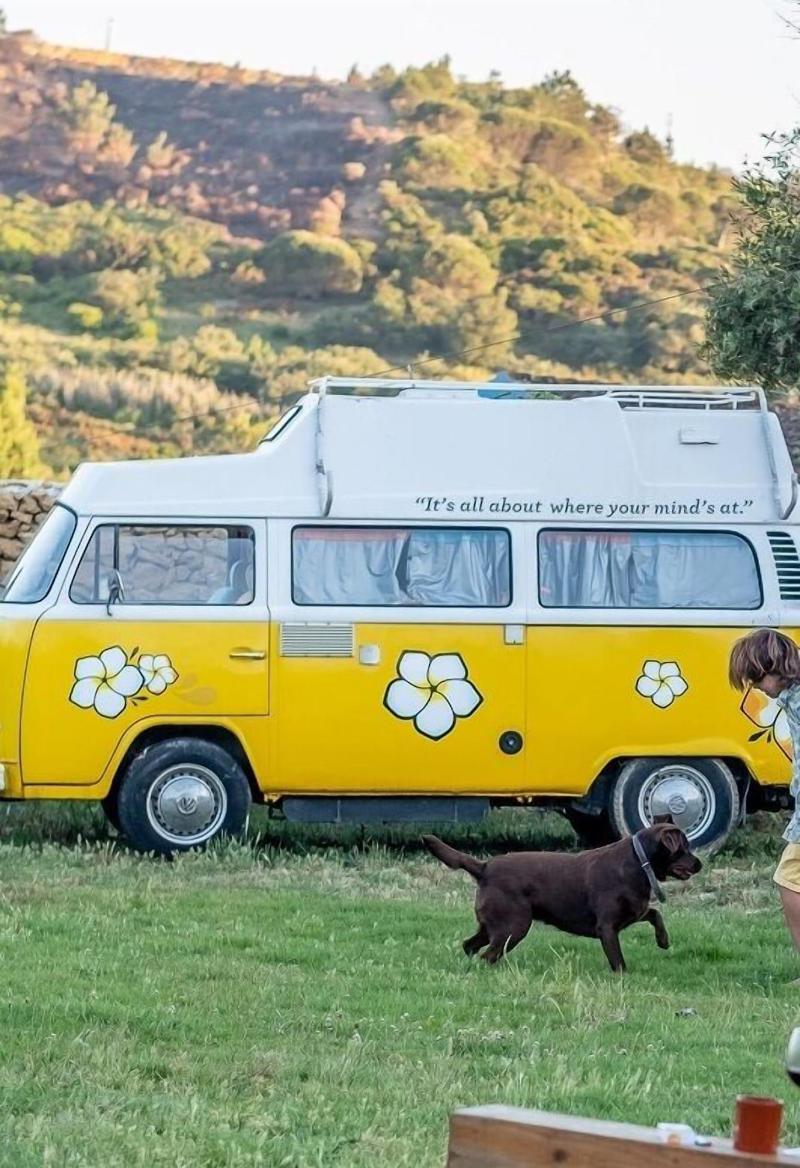 Terra Lodge - Genel