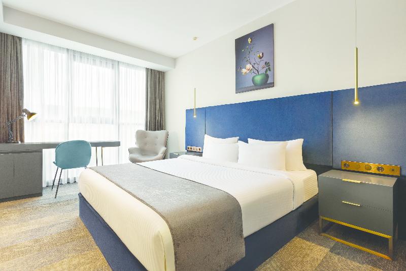 Ramada by Wyndham Tbilisi Old City - Oda