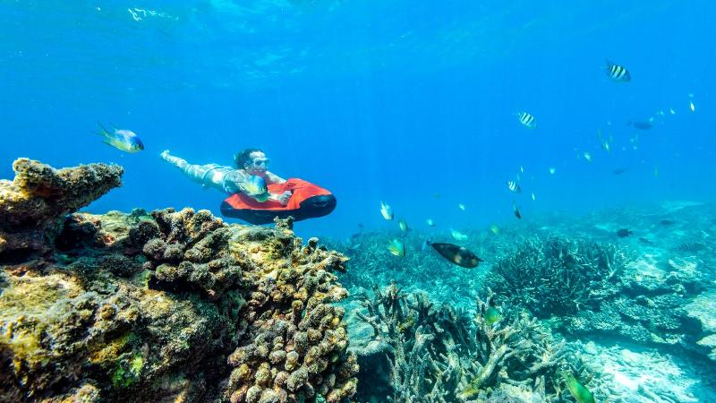 Sheraton Maldives Full Moon Resort & Spa - Aktivite