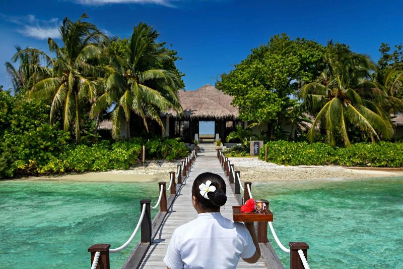 Sheraton Maldives Full Moon Resort & Spa - Aktivite