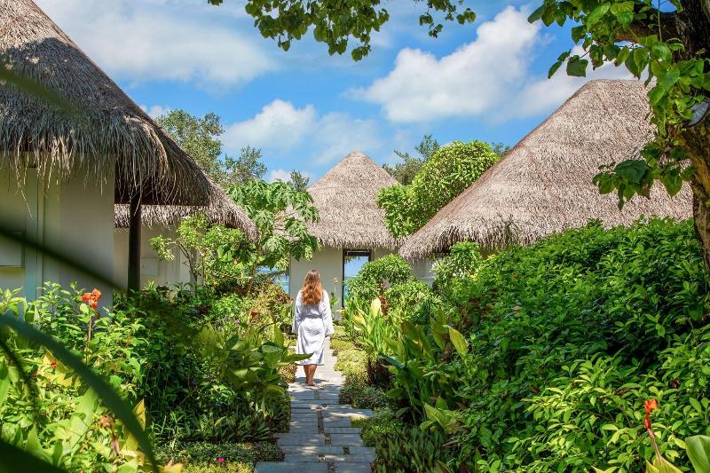 Sheraton Maldives Full Moon Resort & Spa - Aktivite
