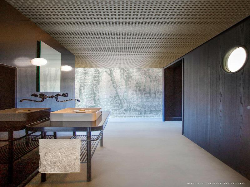 Boutique & Design Hotel Volkshaus Basel - Genel