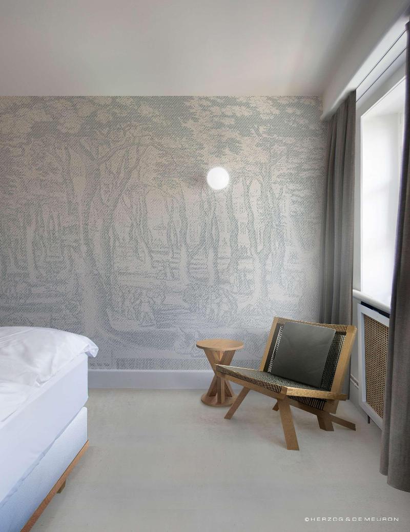 Boutique & Design Hotel Volkshaus Basel - Oda