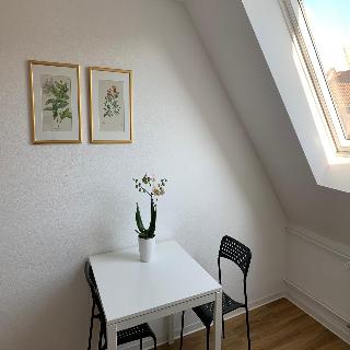 Hotel B54 Heidelberg fotoÄŸrafÄ±