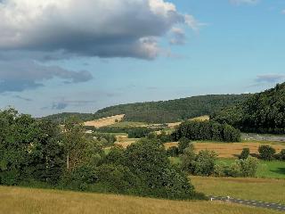 Euro Hotel Wertheim fotoÄŸrafÄ±