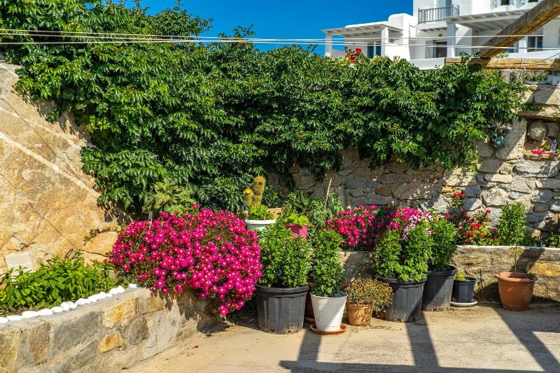 Oniropetra Apartaments - Genel