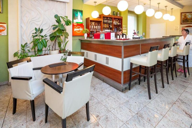 Hungarospa Thermal Hotel - Bar