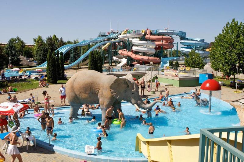 Hungarospa Thermal Hotel - Aktivite