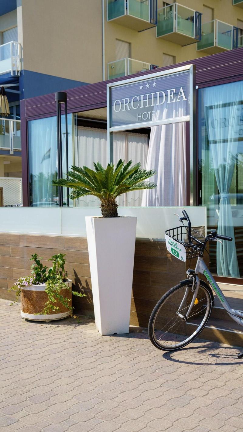 Hotel Orchidea - Aktivite