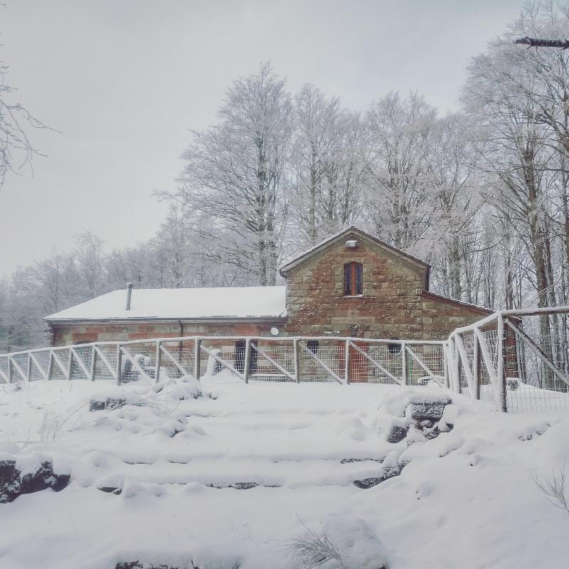 Chalet Il Vecchio Rifugio - Genel