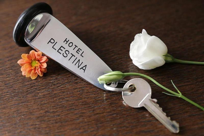 Hotel Plestina Ristorante Pizzeria - Aktivite