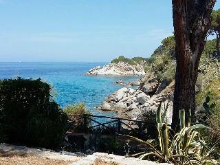 Hotel Cernia Isola Botanica otel fotoğrafı