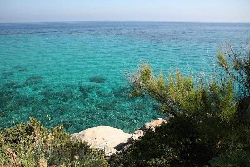 Hotel Cernia Isola Botanica - Genel