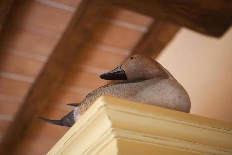 Hotel Cernia Isola Botanica - Oda