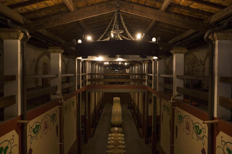 Casa Villa Marina - Aktivite