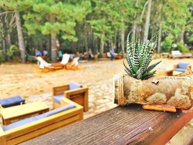 Vallicciola Nature Hotel - Bar