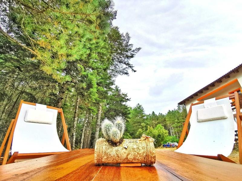 Vallicciola Nature Hotel - Bar
