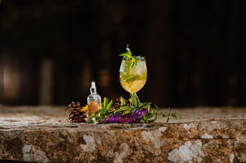 Vallicciola Nature Hotel - Bar