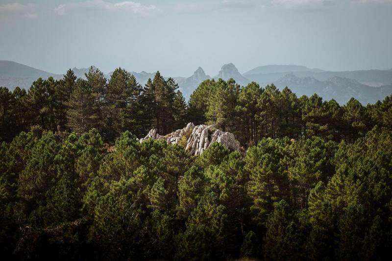 Vallicciola Nature Hotel - Aktivite
