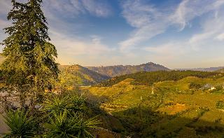 Quinta da Portela Douro fotoÄŸrafÄ±
