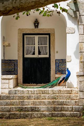 Quinta da Foz fotoÄŸrafÄ±