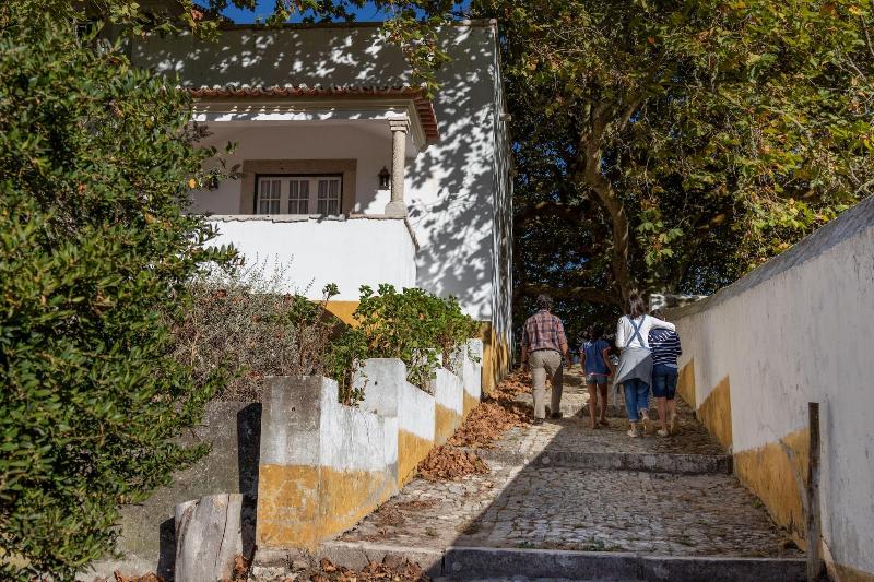 Quinta da Foz - Genel