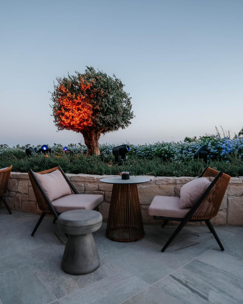 City Of Dreams - Mediterranean - Restoran