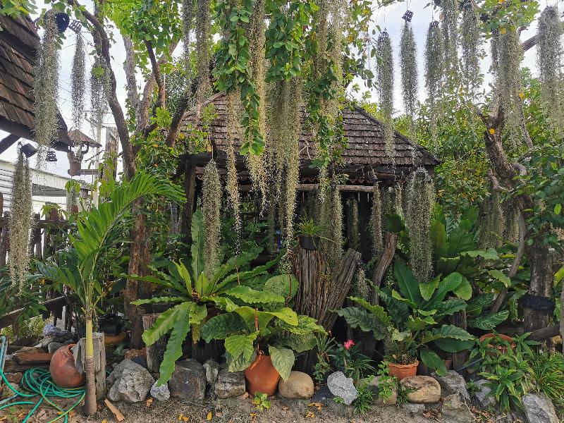 Baan Lanna Resort by ZUZU - Genel