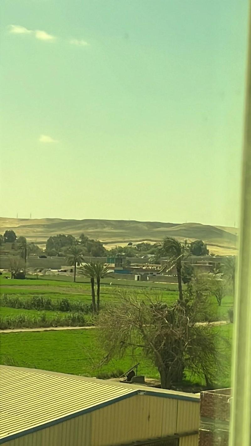 Pyramids Oasis Hotel - Oda