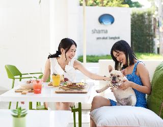 Shama Yen-Akat Bangkok fotoÄŸrafÄ±