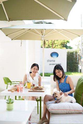 Shama Yen-Akat Bangkok fotoÄŸrafÄ±