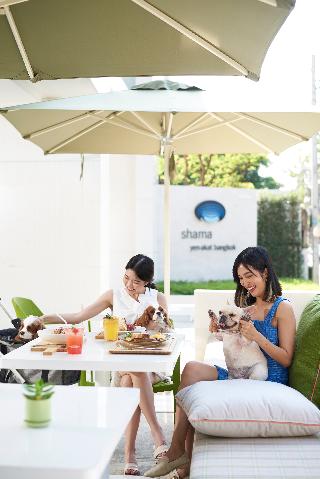 Shama Yen-Akat Bangkok fotoÄŸrafÄ±
