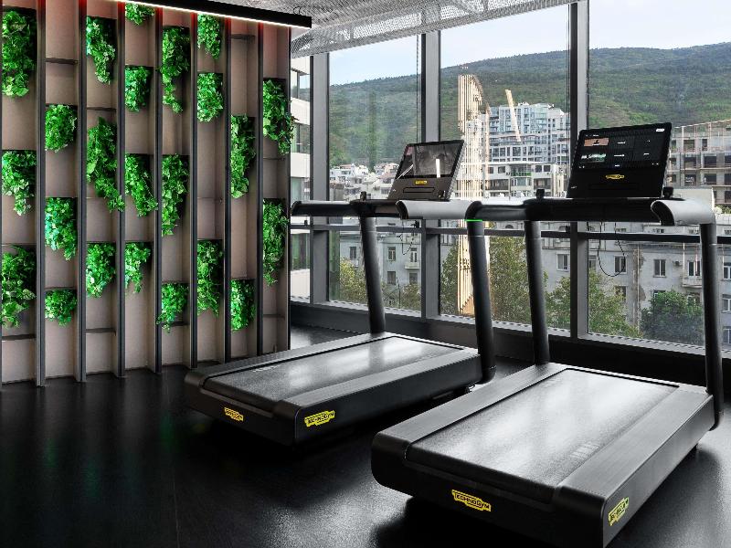 Pullman Tbilisi Axis Towers - Aktivite