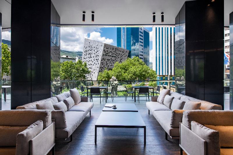 Pullman Tbilisi Axis Towers - Teras