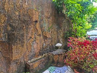 Ardilia Kost Syariah fotoÄŸrafÄ±