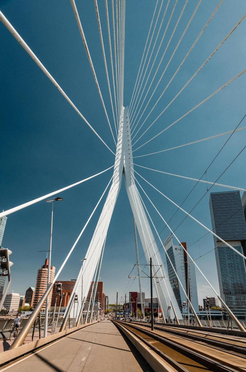 Le Marin Rotterdam City - Handwritten Collection - Genel