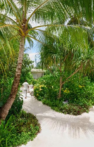 Alila Kothaifaru Maldives fotoÄŸrafÄ±