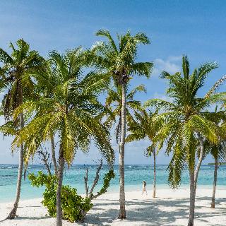 Alila Kothaifaru Maldives fotoÄŸrafÄ±