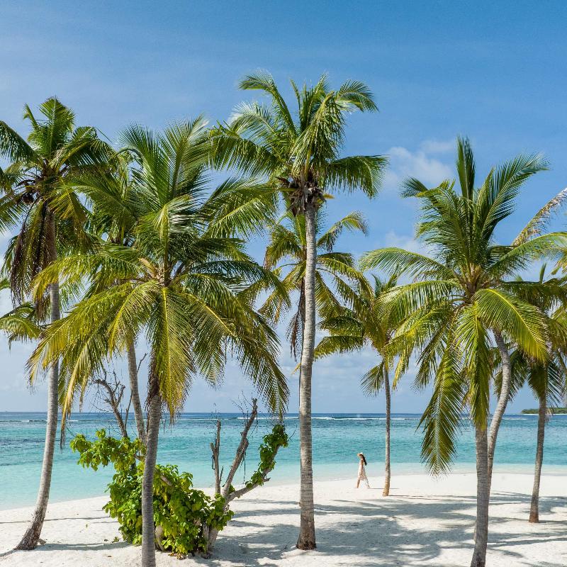 Alila Kothaifaru Maldives - Plaj