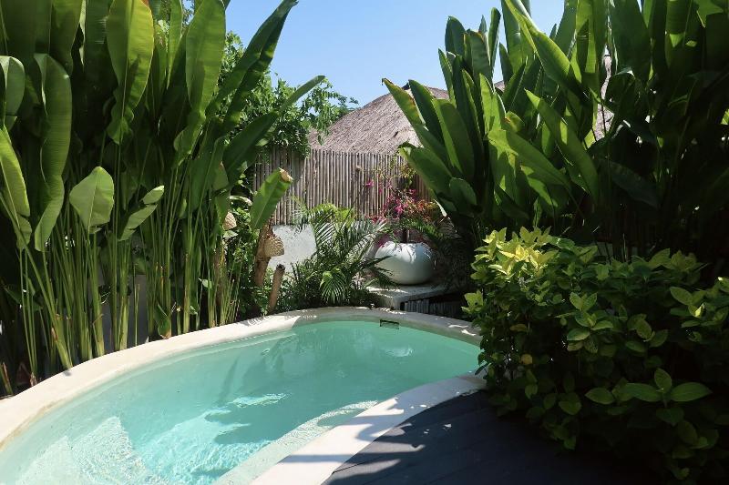 The Garden Shacks at Sandy Bay - Aktivite