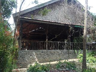 Tangkahan Inn otel fotoğrafı