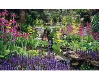 Trelawne Garden Annexe fotoÄŸrafÄ±