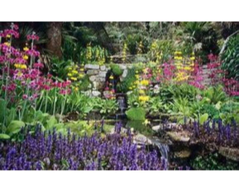 Trelawne Garden Annexe - Genel