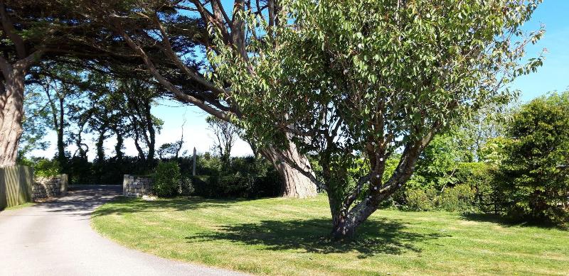 Trelawne Garden Annexe - Genel