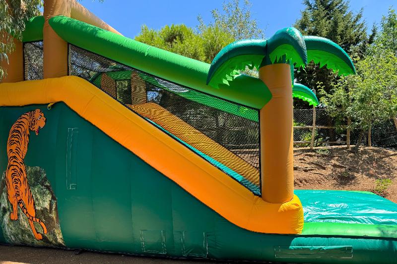 Hostel & Glamping Santa Fortunata - Aktivite