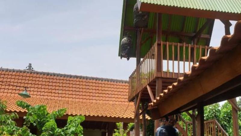 Nita's Homestay Banyuwangi by ZUZU - Lobi