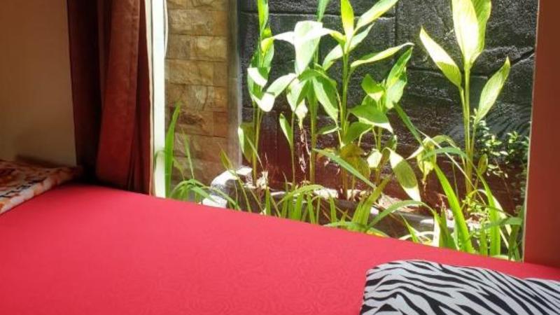 Nita's Homestay Banyuwangi by ZUZU - Oda