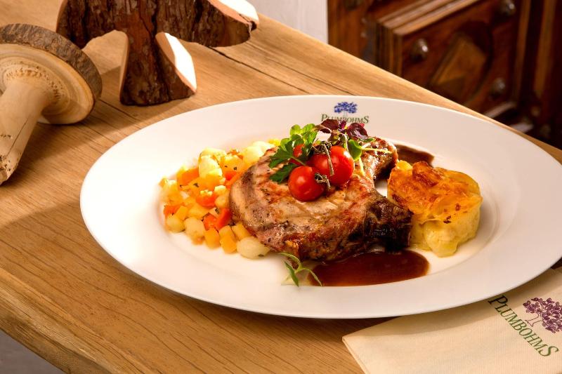 Aussichtsreich Gast- und Logierhaus - Restoran