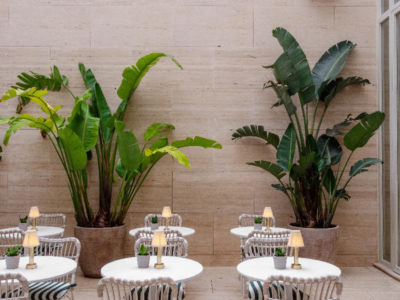 Browns Avenue Hotel - Teras