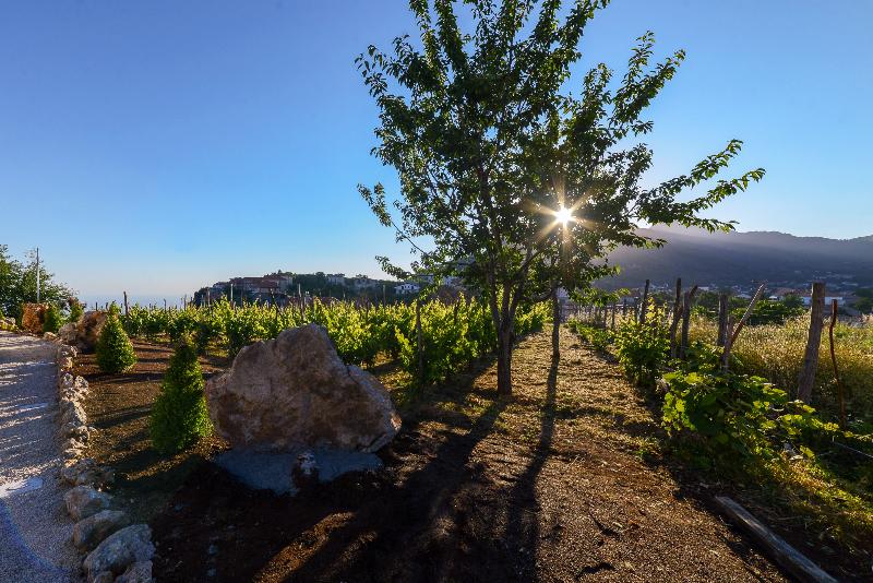 Antichi Orti Del Sole - Genel